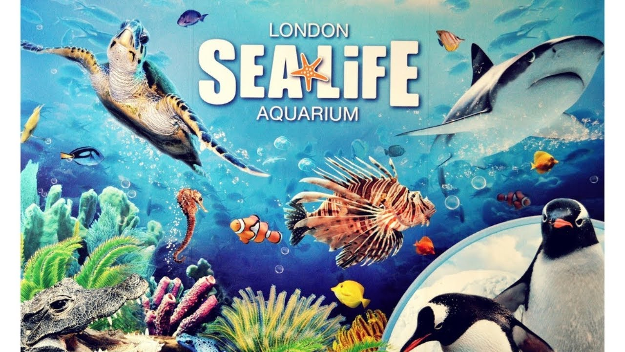 London Sea life aquarium