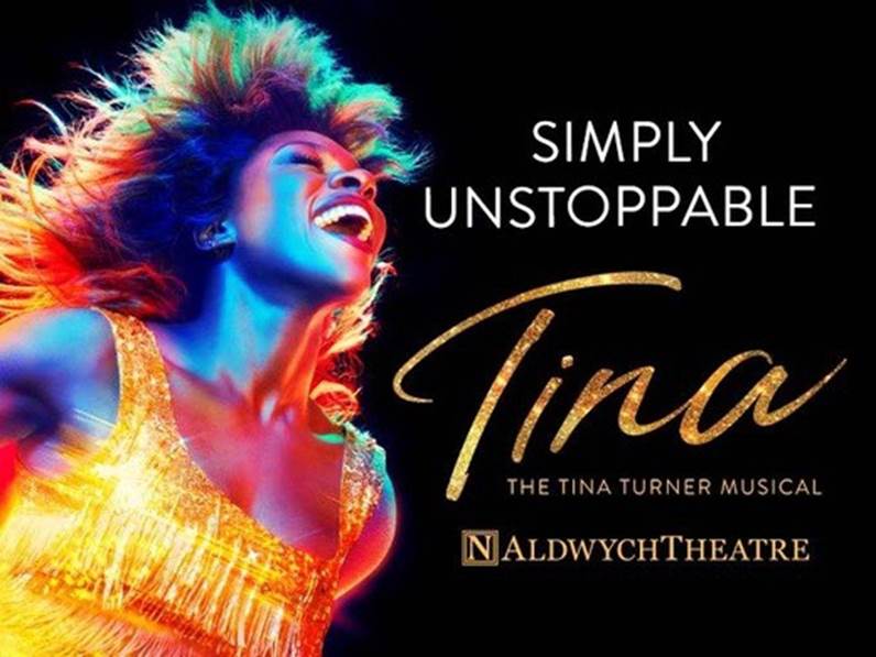 Tina Simply Unstoppable poster